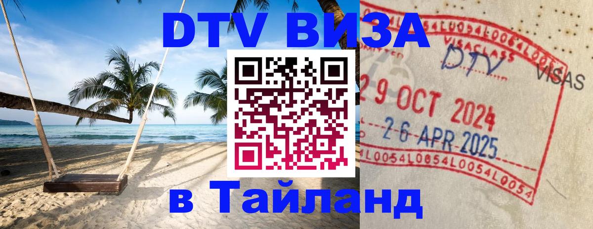 Оформление DTV визы под ключ: стоимость и тарифы, только загранпаспорт - 18.11.2025 